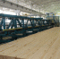 Нижегородские предприятия приглашаются к участию в выставке DubaiWoodShow 2026 - Время Н