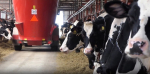 Компания из Арзамаса вошла в проект «Производительность труда»