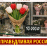 Цветы – предмет роскоши? - Справедливая Россия