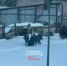 Один человек погиб при обрушении крыши здания в Нижнем Новгороде - фото 1 - vGorodeN.Ru