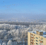 Морозы нагрянут в Нижний Новгород в самый весенний праздник - ProGorodNN.Ru