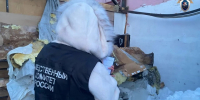 СК раскрыл подробности ареста Агеева после гибели подростка в Сормове - фото 1 - vGorodeN.Ru