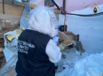 В Нижегородской области генеральному директору одного из муниципальных казённых учреждений предъявлено обвинение в халатности, повлекшей по неосторожности смерть ребенка