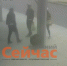 Москвича будут судить в Нижнем Новгороде за кражи и избиение - ИА Нижний сейчас