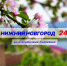 Программа передач телеканала “Нижний Новгород 24” на 13 марта - ГТРК Нижний Новгород