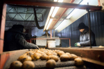 Нижегородские фермеры получили возможность поставлять продукцию в торговые сети через агроагрегаторы