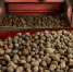 1500 тонн овощей от 38 фермеров попали в сети за пять месяцев - ProGorodNN.Ru