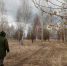 В Нижегородской области проснулись клещи и начали кусать людей - ProGorodNN.Ru
