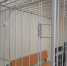 Двух подростков посадили за теракт в Нижнем Новгороде - фото 1 - vGorodeN.Ru