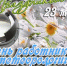 Поздравление начальника ФГБУ "Верхне-Волжское УГМС" с Днем работников гидрометеорологической службы и Всемирным метеорологическим днем - Верхне-Волжское УГМС