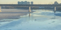Двух нижегородских сапбордистов на Оке приняли за тонущих рыбаков - НИА Нижний Новгород