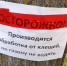 Двух детей в Нижегородской области укусили клещи - НТА-Приволжье