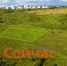 Землю на 140 млн рублей похитил глава нижегородской фирмы и получил срок - ИА Нижний сейчас