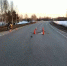 Мотоциклист и водитель мопеда пострадали в аварии в городе Бор - ProGorodNN.Ru