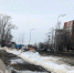 В Нижегородской области начали цвести растения, опасные для аллергиков - ProGorodNN.Ru