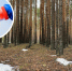 Клещи атакуют интимные зоны нижегородцев - ProGorodNN.Ru