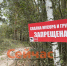 В лесах Нижегородской области уберут 31 свалку - ИА Нижний сейчас