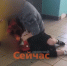 Учитель напал на учеников в школе Дзержинска - ИА Нижний сейчас