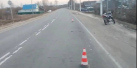 Мужчина на мопеде сбил собаку в Уренском округе - Нижегородская правда