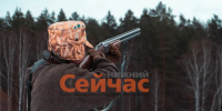 За стрельбу по людям нижегородский браконьер получил 9 лет колонии - ИА Нижний сейчас