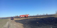 Первое возгорание сухой травы ликвидировали в Кстовском районе - НИА Нижний Новгород