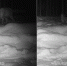 3WHLSA6EAt529k_R6CrMANhCZooHCxE8K2orvG3_eFcy34uBEoh_OFKX3YXQXOwjL-0yv45HnLkvMUfICGadWqod.jpg - НТА-Приволжье