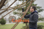 Юрий Шалабаев: «В рамках субботника и месячника по благоустройству ведём работу по дополнительному озеленению территорий»