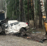Опубликованы фото с места ДТП в Нижегородской области, где погибли три человека - фото 3 - vGorodeN.Ru