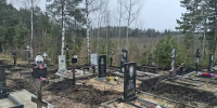 Нижегородское кладбище пострадало после поджога травы - Нижегородская правда