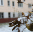 Сильный снег сохранится в Нижнем Новгороде до конца сегодняшнего дня - Время Н