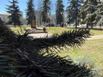 Более 30 автозаводцев приняли участие в патриотическом субботнике у обелиска Героя Великой Отечественной войны А.И. Поющева