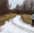 В Нижегородской области выявили новые очаги бешенства - ProGorodNN.Ru