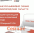 Срок подачи заявок на региональный грантовый конкурс для нижегородских НКО продлён - ИА Нижний сейчас