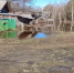 Паводок в Нижегородской области отступает: новых подтоплений не зафиксировано - ProGorodNN.Ru