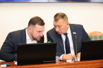 Комитет Законодательного Собрания по госвласти принял отчет о работе Уполномоченного по правам человека