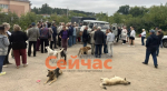 У нацпарка «Нижегородское Поволжье» нет ресурсов для цивилизованной выдачи разрешений на посещение