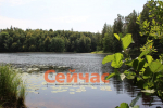 У нацпарка «Нижегородское Поволжье» нет ресурсов для цивилизованной выдачи разрешений на посещение
