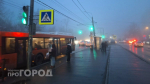 Ребенка с инвалидностью зажало в дверях автобуса в Нижнем Новгороде