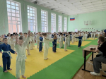 В православной гимназии Воскресенского благочиния Нижегородской епархии состоялся детский турнир по дзюдо «Майский жук»