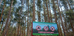 Четвертый класс пожароопасности лесов и торфяников ожидается на территории Нижнего Новгорода