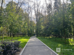 День защиты детей в Нижнем Новгороде: полная программа мероприятий - фото 1