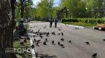 Пятерых 9-классников в Нижегородской области выгнали с экзамена по математике за шпаргалки