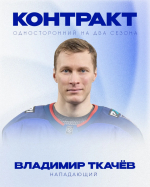 Нападающий Владимир Ткачев продлил контракт с нижегородским Торпедо - фото 1