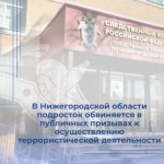 В Нижегородской области подросток обвиняется в публичных призывах к осуществлению террористической деятельности