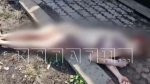Появились новые подробности зверского убийства 27-летней девушки в Починках