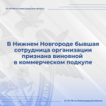 В Нижнем Новгороде бывшая сотрудница организации признана виновной в коммерческом подкупе