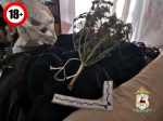 PNG Файл