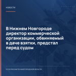 В Нижнем Новгороде директор коммерческой организации, обвиняемый в даче взятки, предстал перед судом