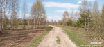 Третий класс пожароопасности лесов действует по всей Нижегородской области