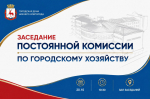 Депутаты оценят ход работ по сносу расселенных домов и ликвидации несанкционированных свалок